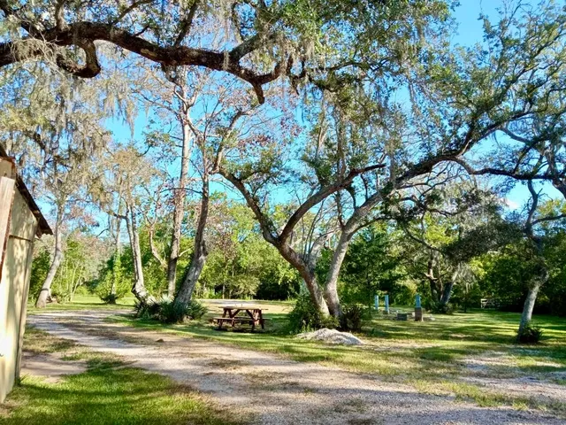 a view of a park with large trees