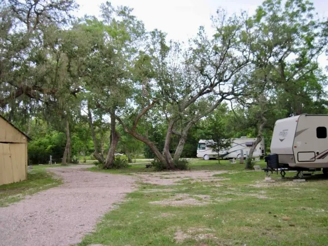 a view of backyard with table and chairs and a large tree