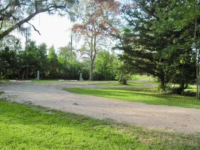 a view of yard with tree s