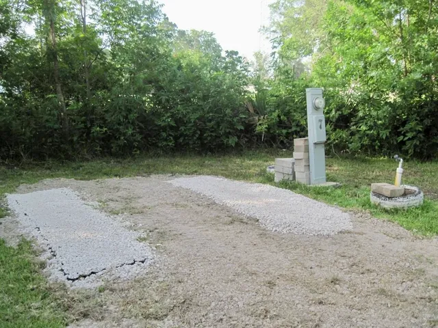 a view of a yard with a tree
