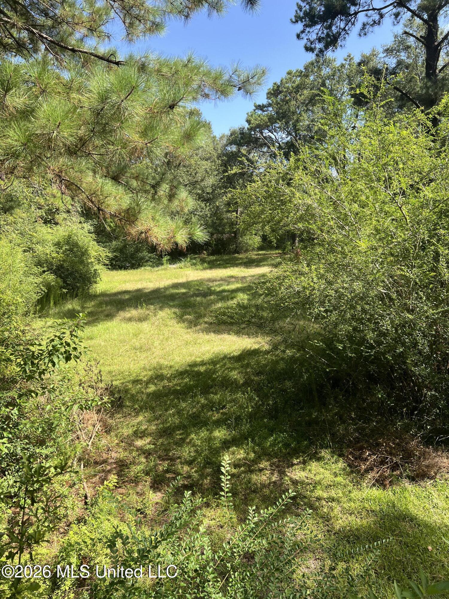 15546 Broadus Road Saucier, MS 39574 - Photo 3 of 15 IMG_3755
