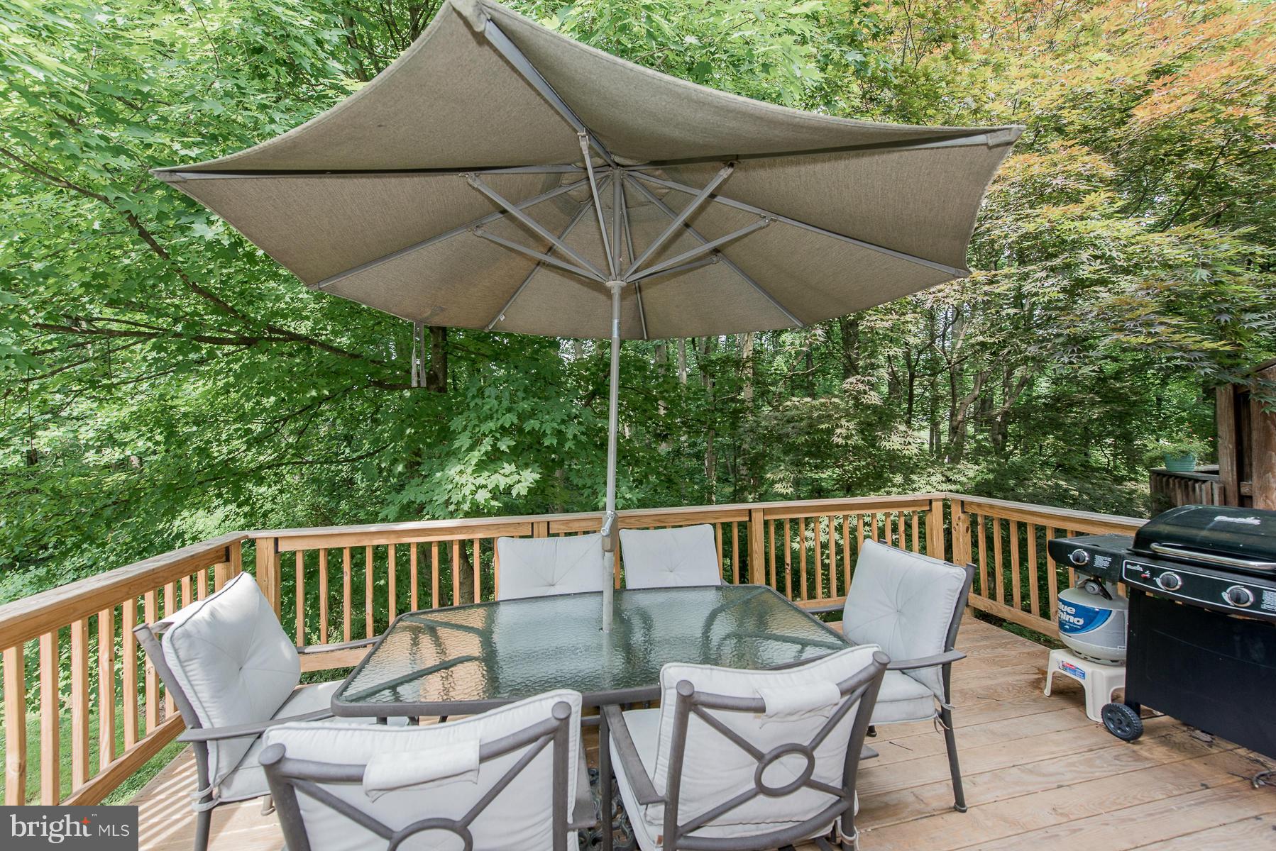 11516 Shell Flower Lane Columbia, MD 21044 - Photo 14 of 30 Deck