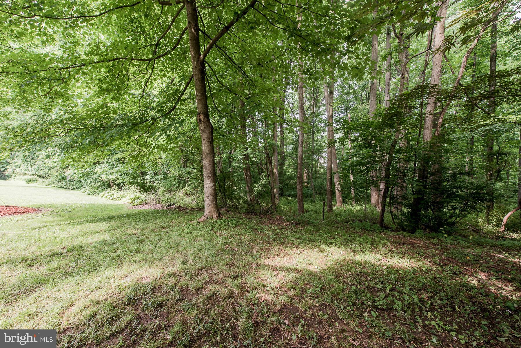 11516 Shell Flower Lane Columbia, MD 21044 - Photo 29 of 30 Yard