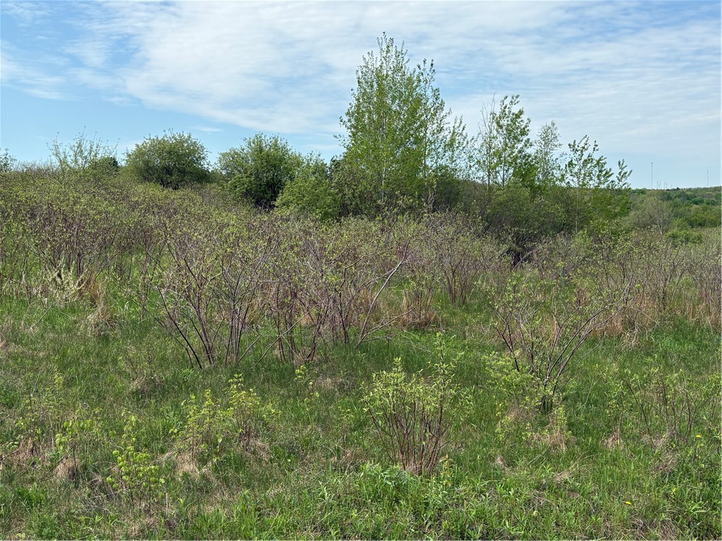 Wahlberg Road Guilford, NY 13780 - Photo 11 of 25