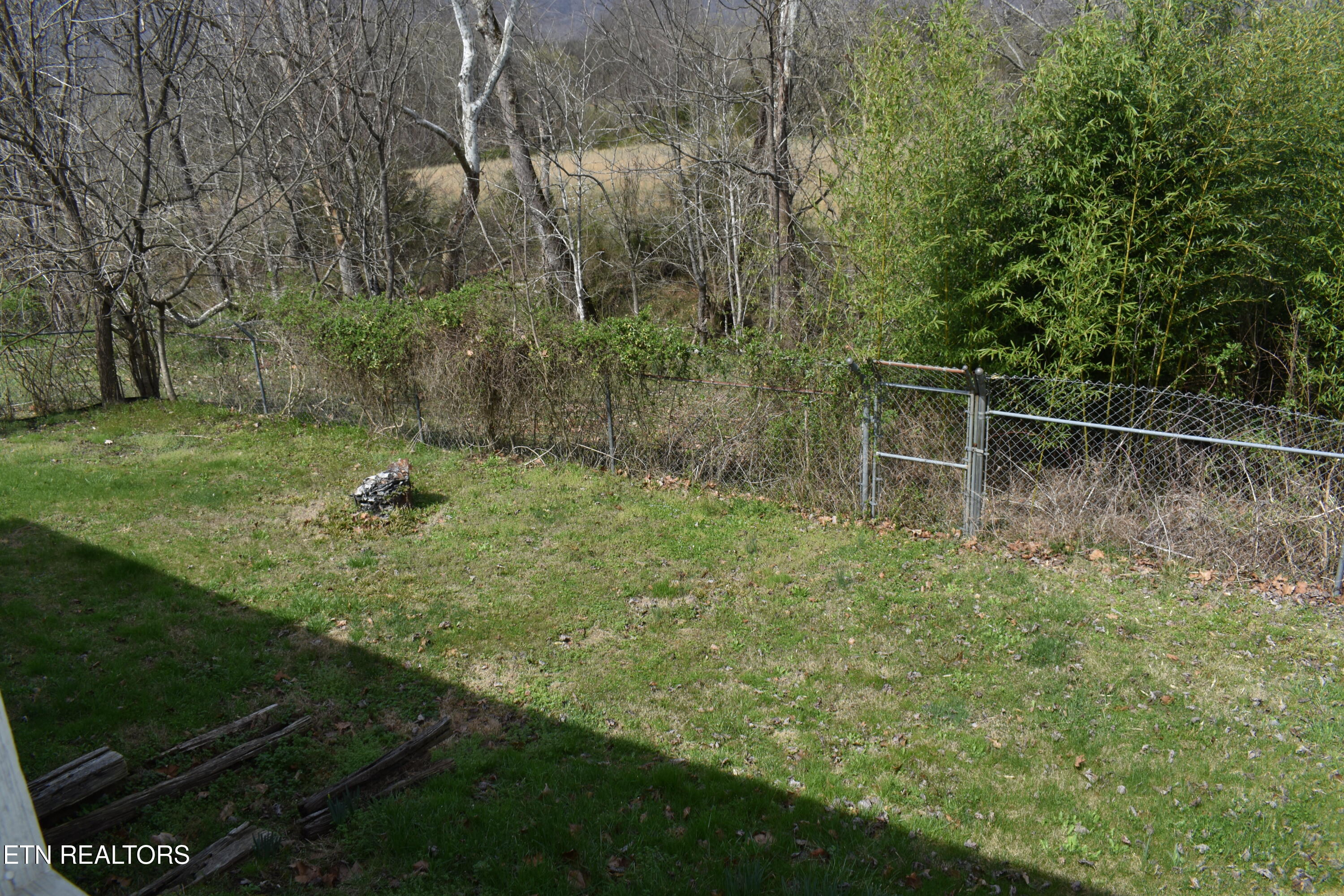 8749 Wilderness Road Ewing, VA 24248 - Photo 20 of 25 DSC_0152