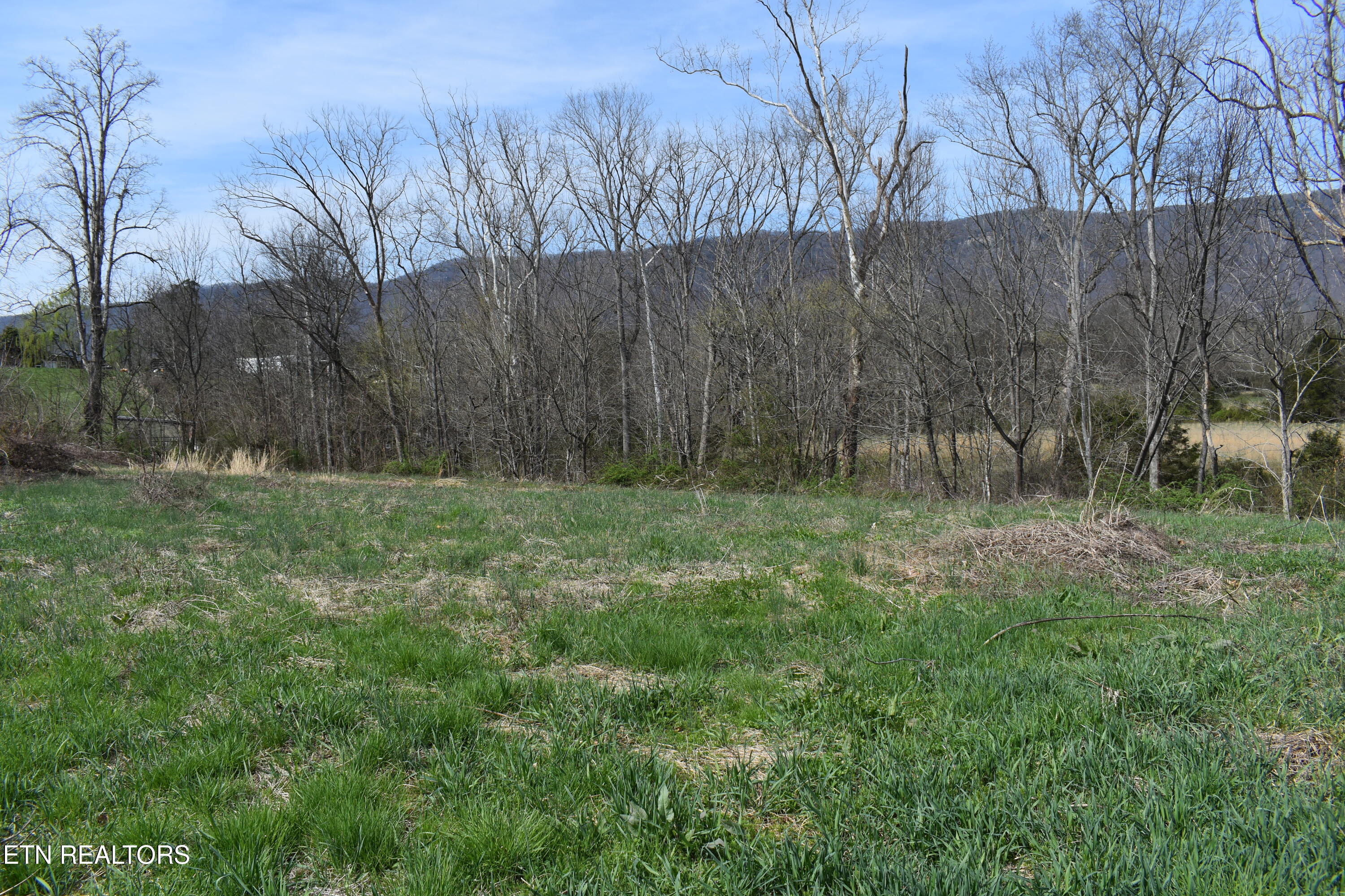 8749 Wilderness Road Ewing, VA 24248 - Photo 5 of 25 DSC_0135