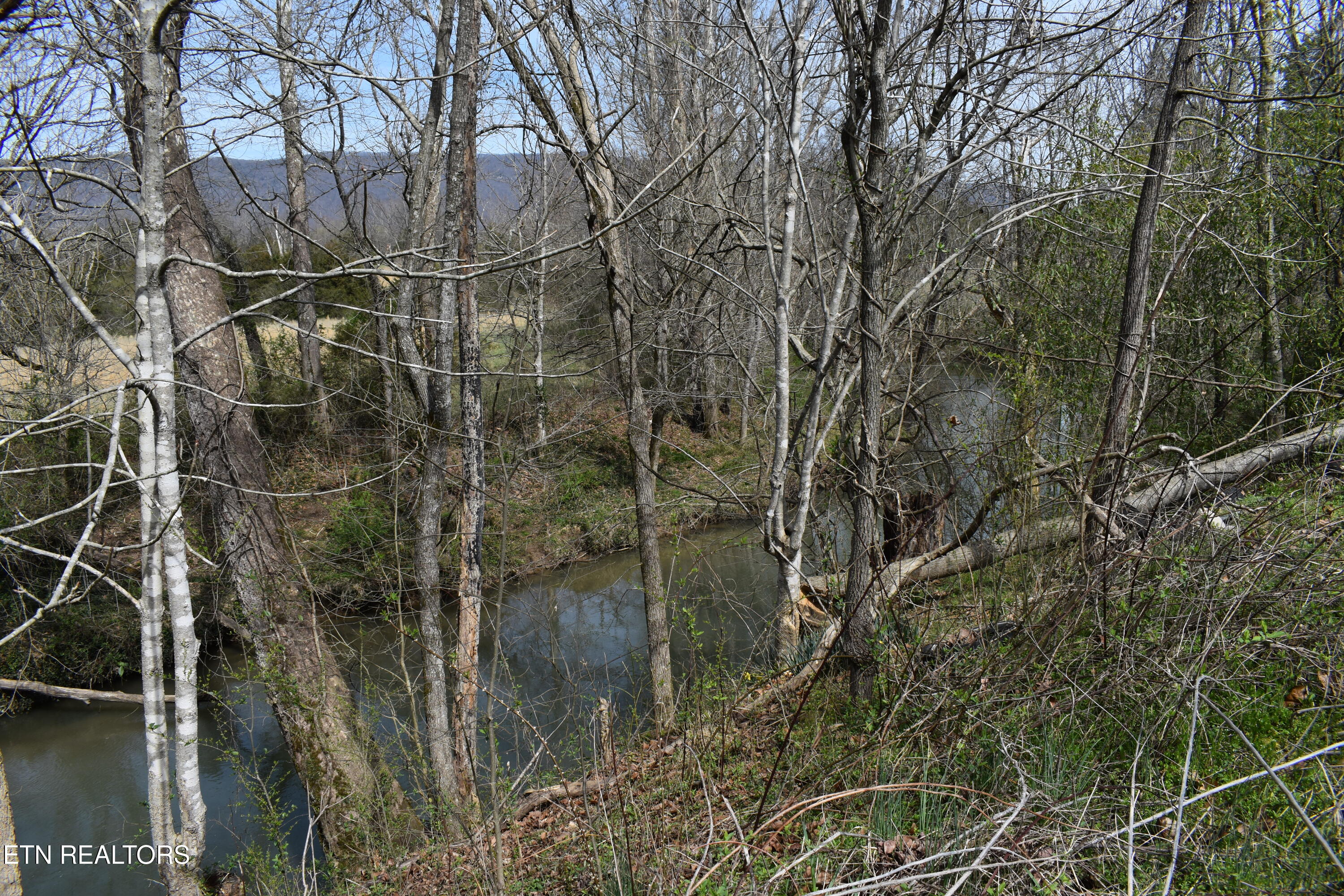 8749 Wilderness Road Ewing, VA 24248 - Photo 7 of 25 DSC_0138