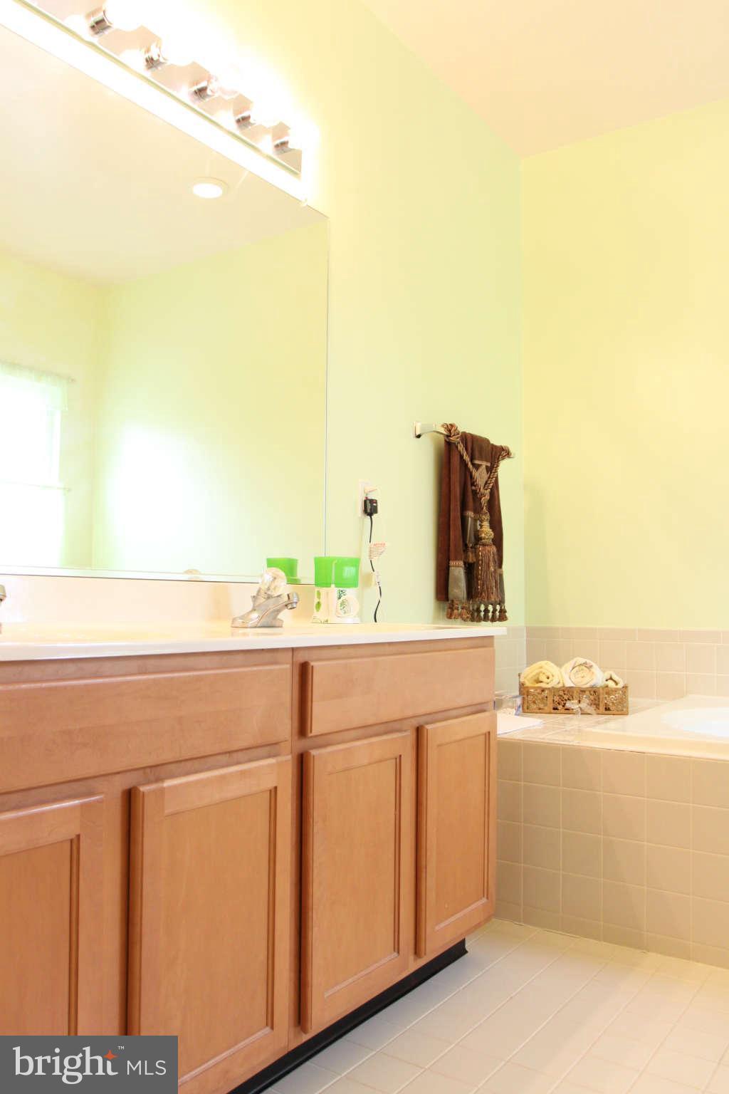 9218 Frederick Road Ellicott City, MD 21042 - Photo 14 of 30 Bath (Master)