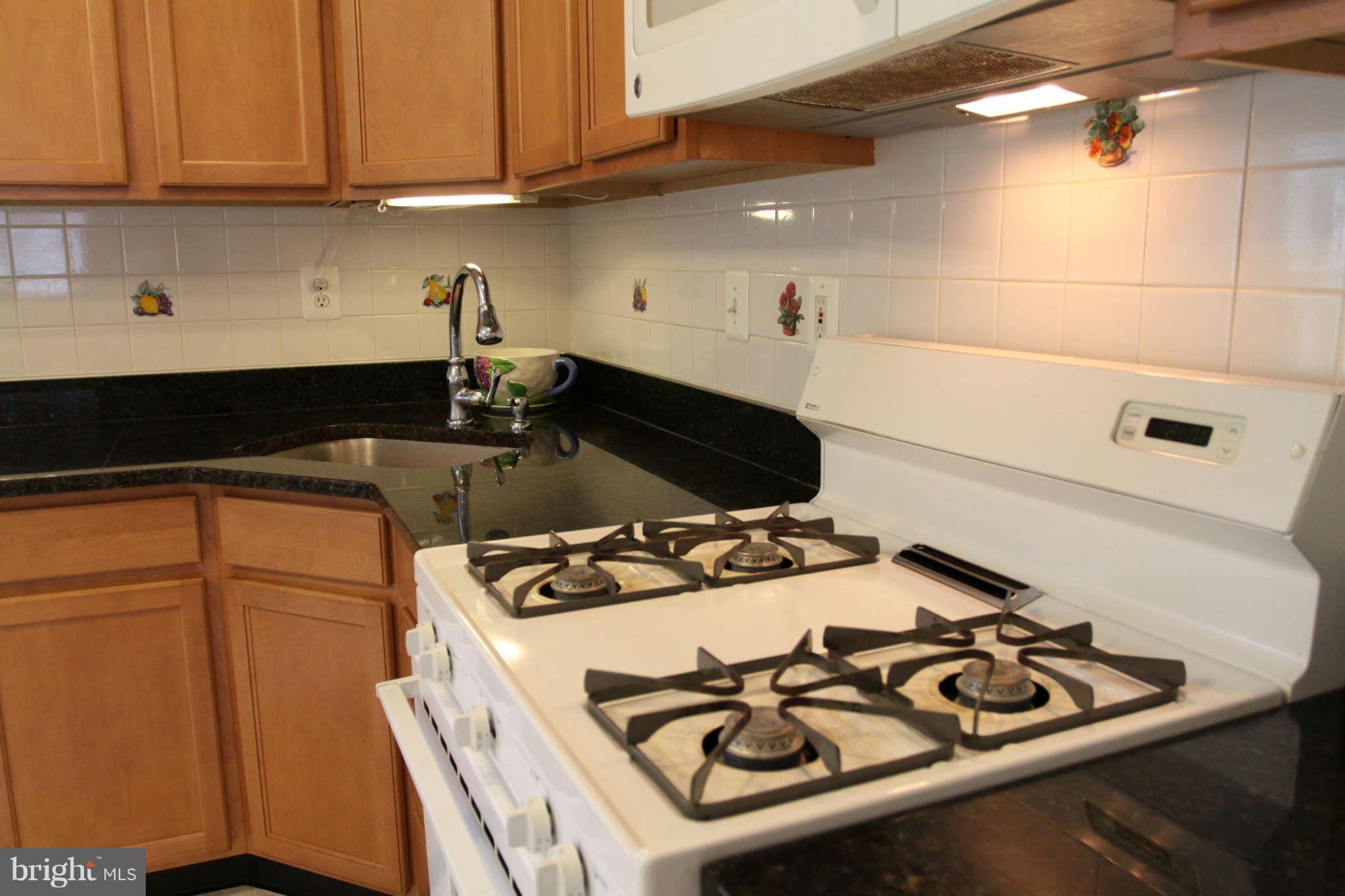 9218 Frederick Road Ellicott City, MD 21042 - Photo 8 of 30 Kitchen