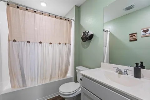 a bathroom with a sink a toilet and shower curtain