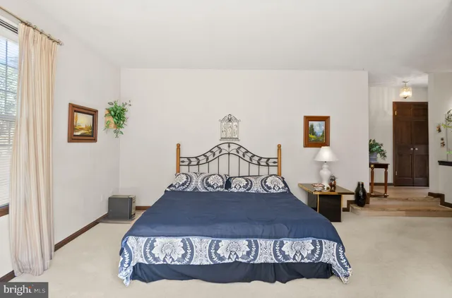 a view of a yard with plants and trees