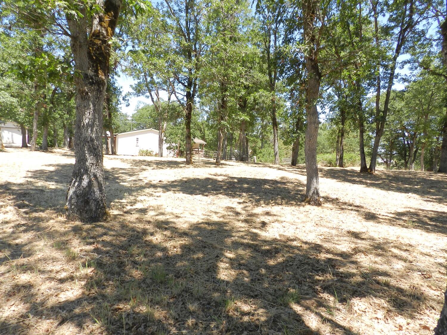 11794 Dixie Road White City, OR 97503 - Photo 22 of 30 DSCN9816