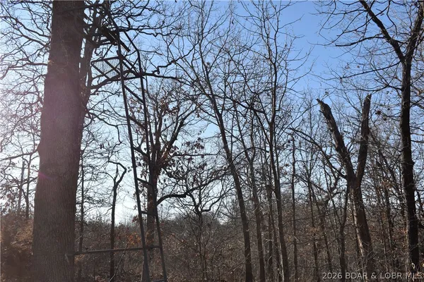 $149,500 | 0 Restoration Hill Road, Camdenton, MO 65020