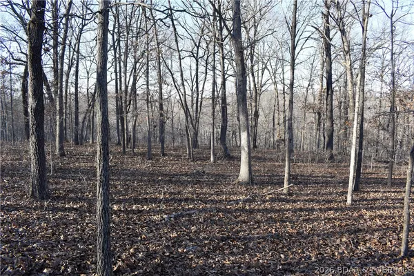 $149,500 | 0 Restoration Hill Road, Camdenton, MO 65020