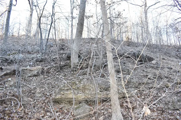 $149,500 | 0 Restoration Hill Road, Camdenton, MO 65020