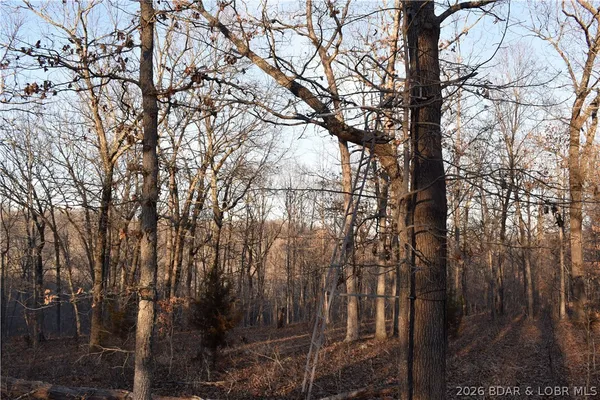$149,500 | 0 Restoration Hill Road, Camdenton, MO 65020