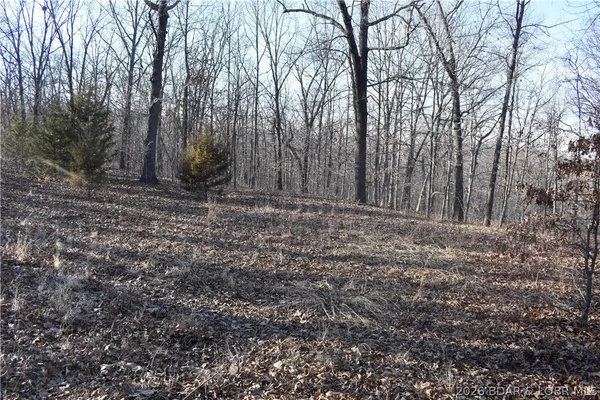$149,500 | 0 Restoration Hill Road, Camdenton, MO 65020