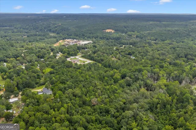 a view of a lush green forest with lots of trees