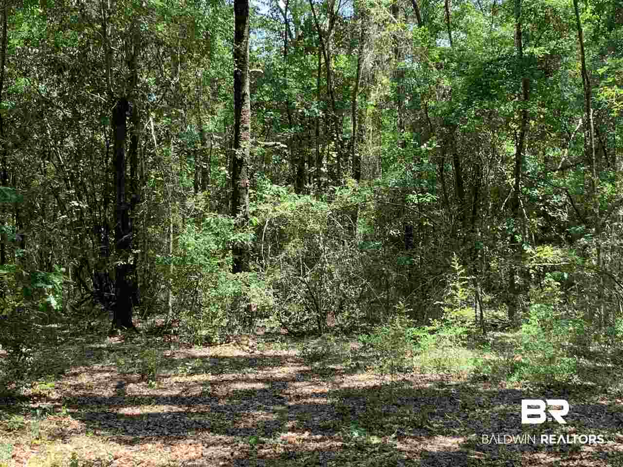 0 Frank Road Silverhill, AL 36576 - Photo 3 of 17
