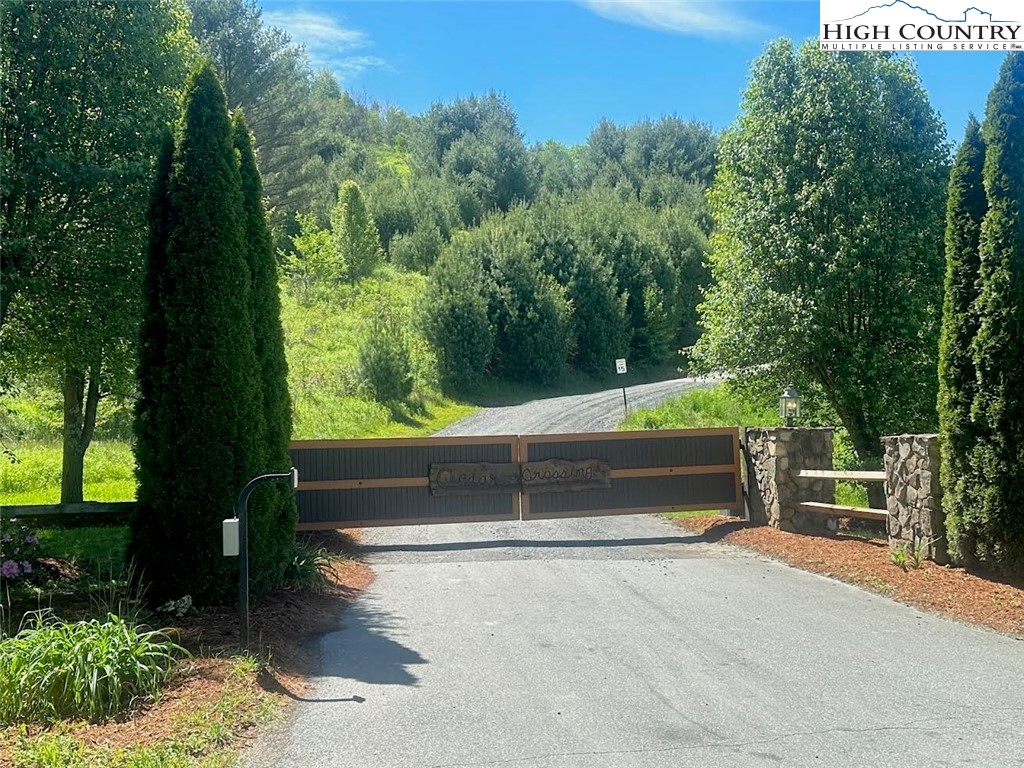 a view of park with large trees