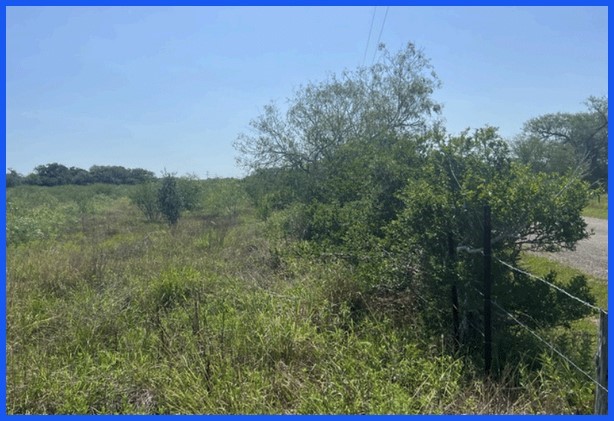 13 Private Road Refugio, TX 78377 - Photo 3 of 5