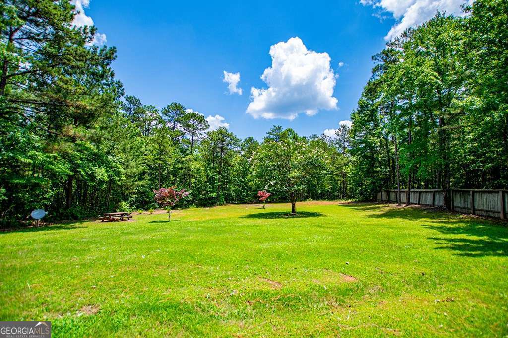 81 Castleman Road Carrollton, GA 30116 - Photo 65 of 74
