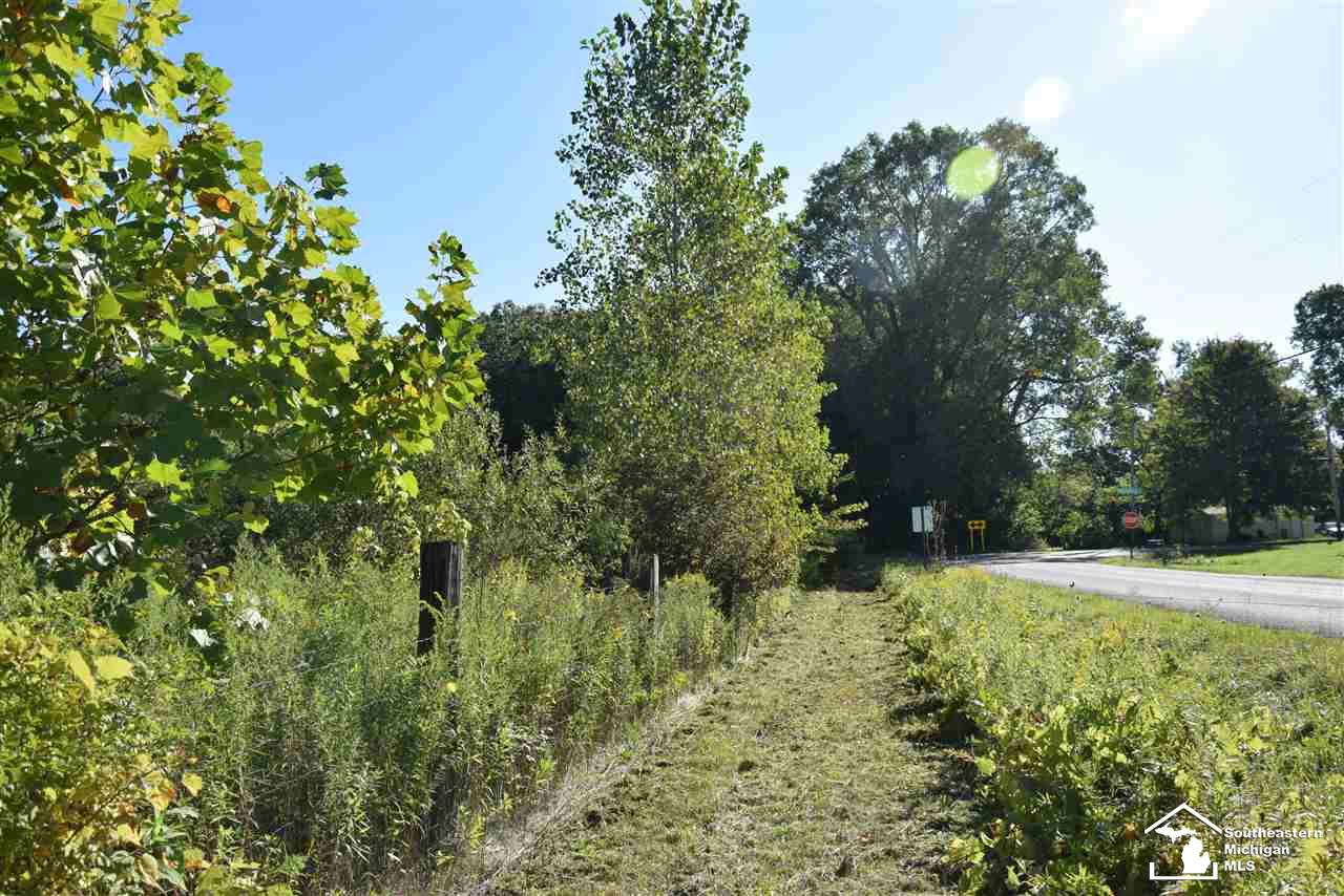 0 State Line Road Ottawa Lake, MI 49267 - Photo 5 of 5