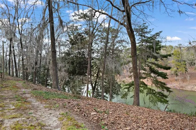 $775,000 | 250 Moore Meadow Drive, Georgetown, GA 39854