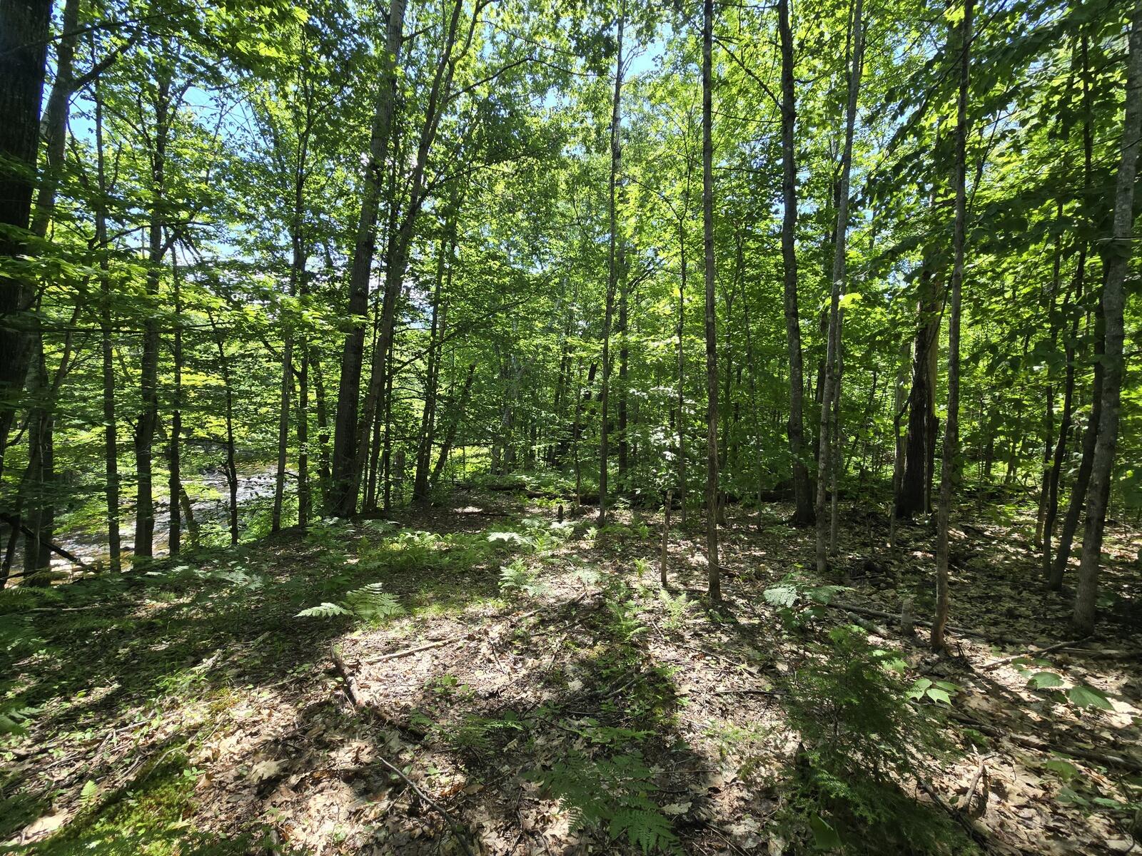 Lot 67 Temple Road Temple, ME 04984 - Photo 12 of 20 20260624_095409