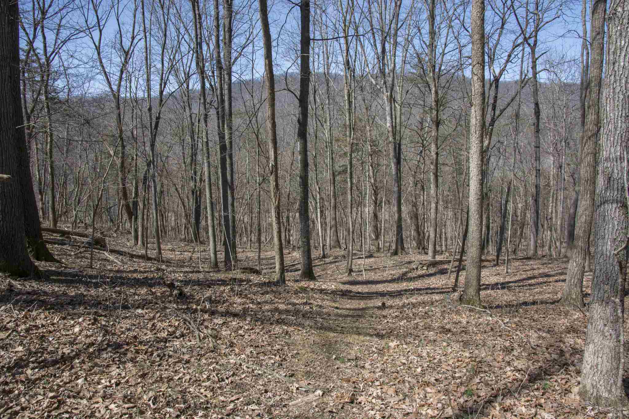 11501 Turleytown Road Linville, VA 22834 - Photo 5 of 15 Gallery Image 5