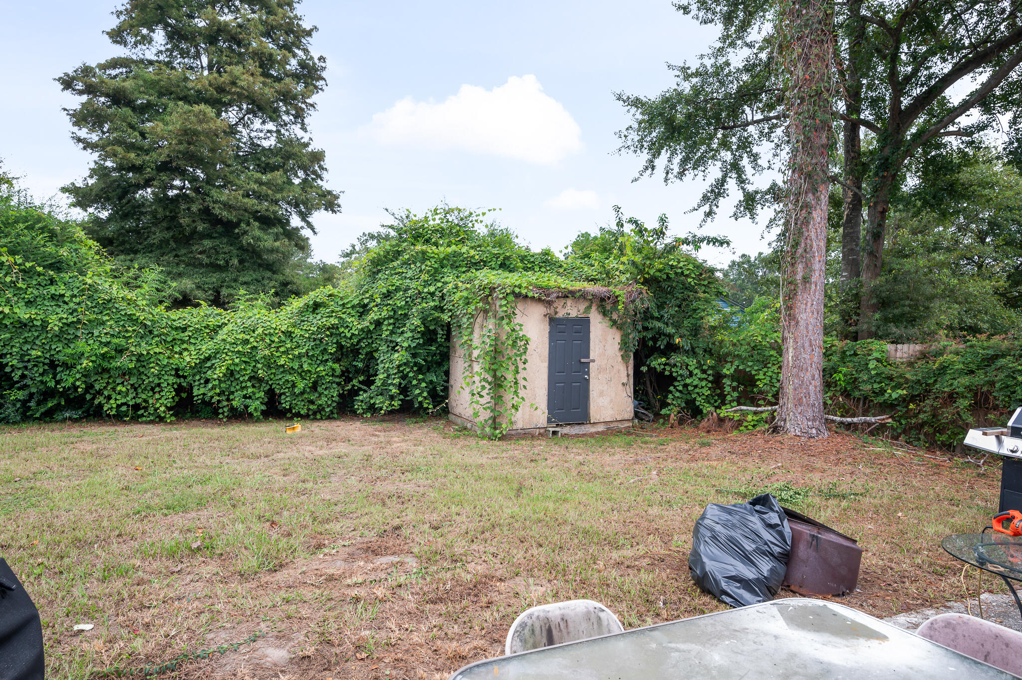 305 Gippy Drive Summerville, SC 29486 - Photo 23 of 23 MOD_1460