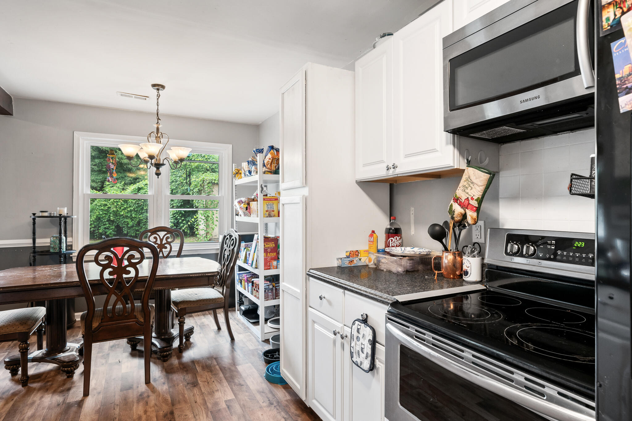 305 Gippy Drive Summerville, SC 29486 - Photo 10 of 23 MOD_1440