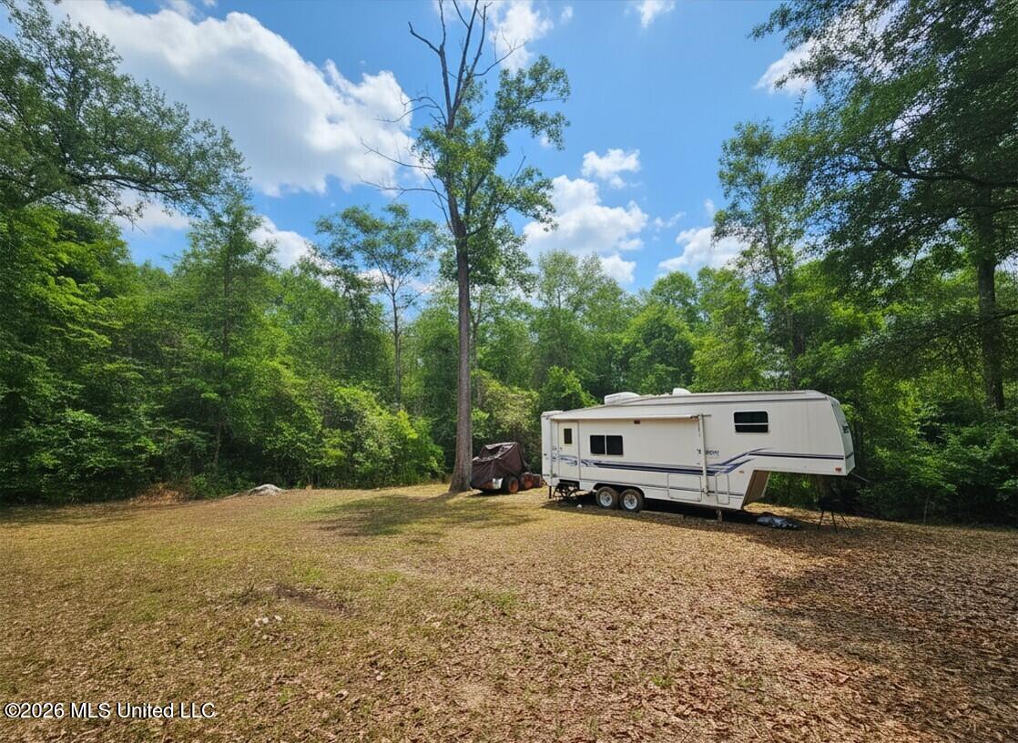 222 Lavelle Odom Road Poplarville, MS 39470 - Photo 1 of 17 Main photo