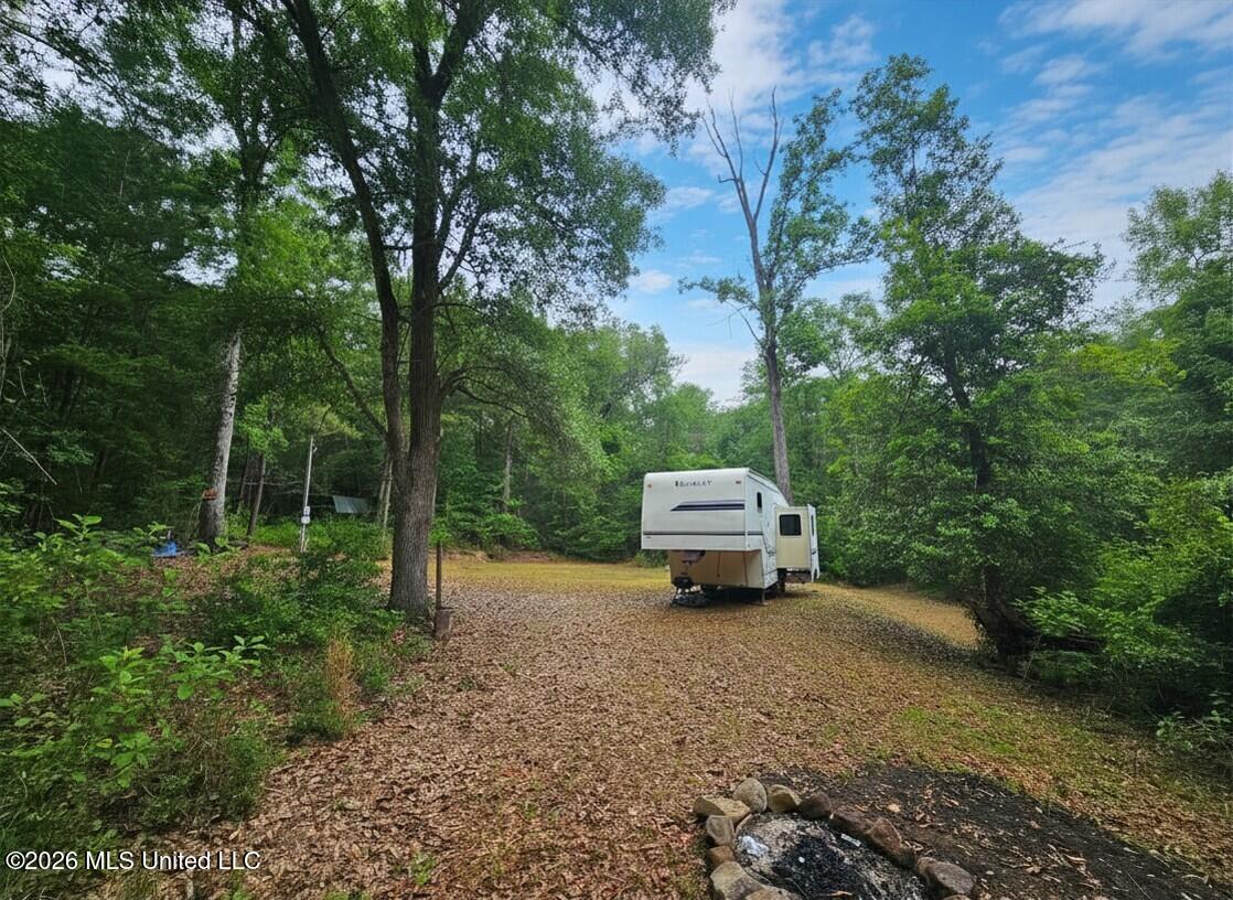 222 Lavelle Odom Road Poplarville, MS 39470 - Photo 4 of 17 Cleared area annd 5th whee