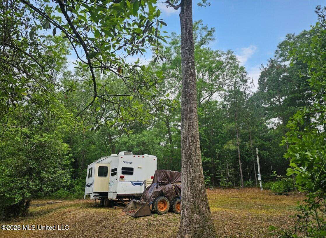 222 Lavelle Odom Road Poplarville, MS 39470 - Photo 5 of 17 Cleared area annd 5th wheel