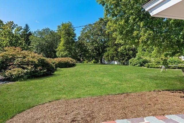 a view of a garden with a bench