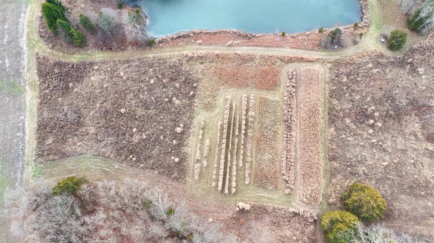 1 Lake Tambo Road Sunman, IN 47041 - Photo 10 of 24