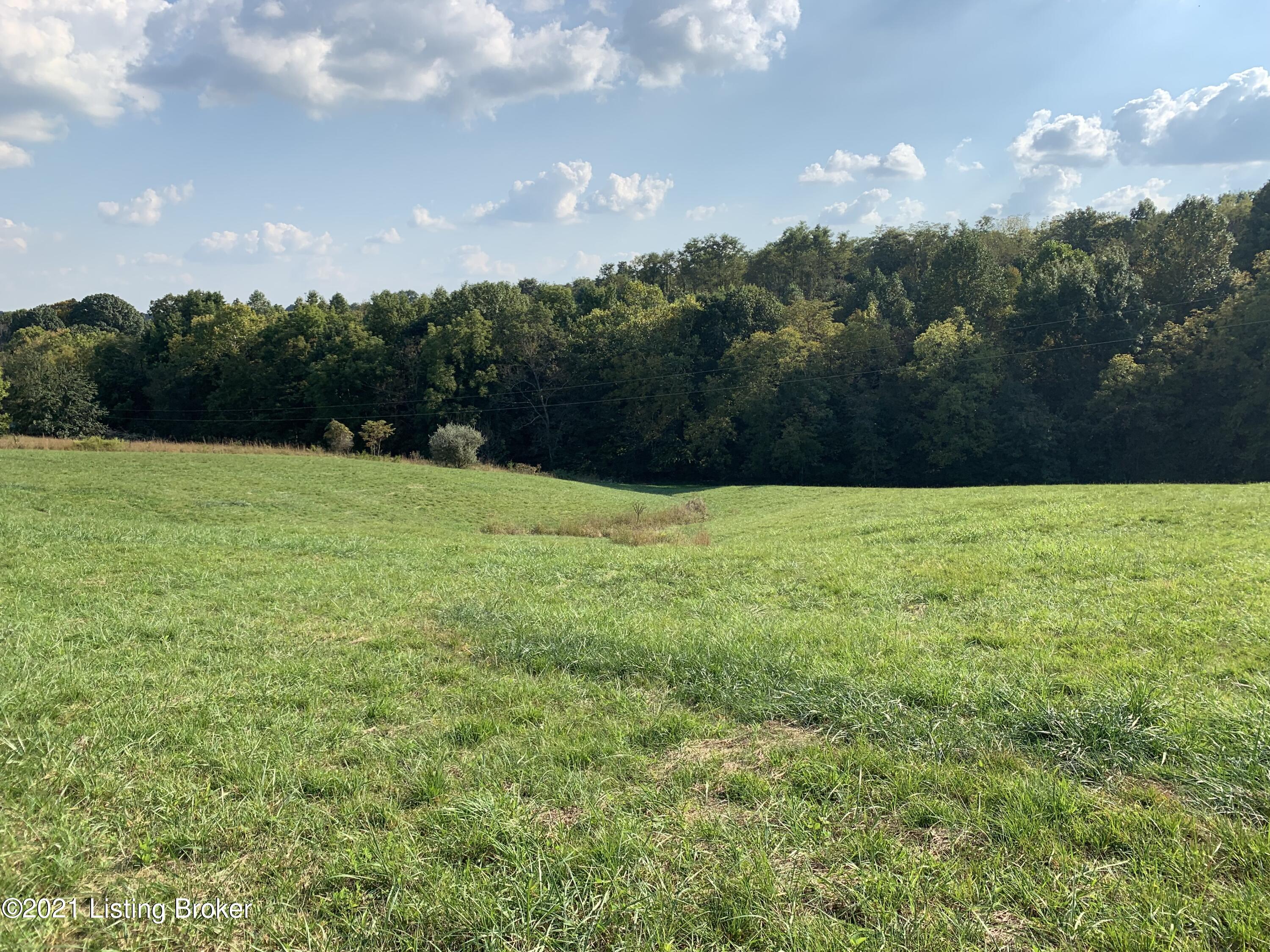 Tract # 3 Benson Creek Road Lawrenceburg, KY 40342 - Photo 4 of 5 Land
