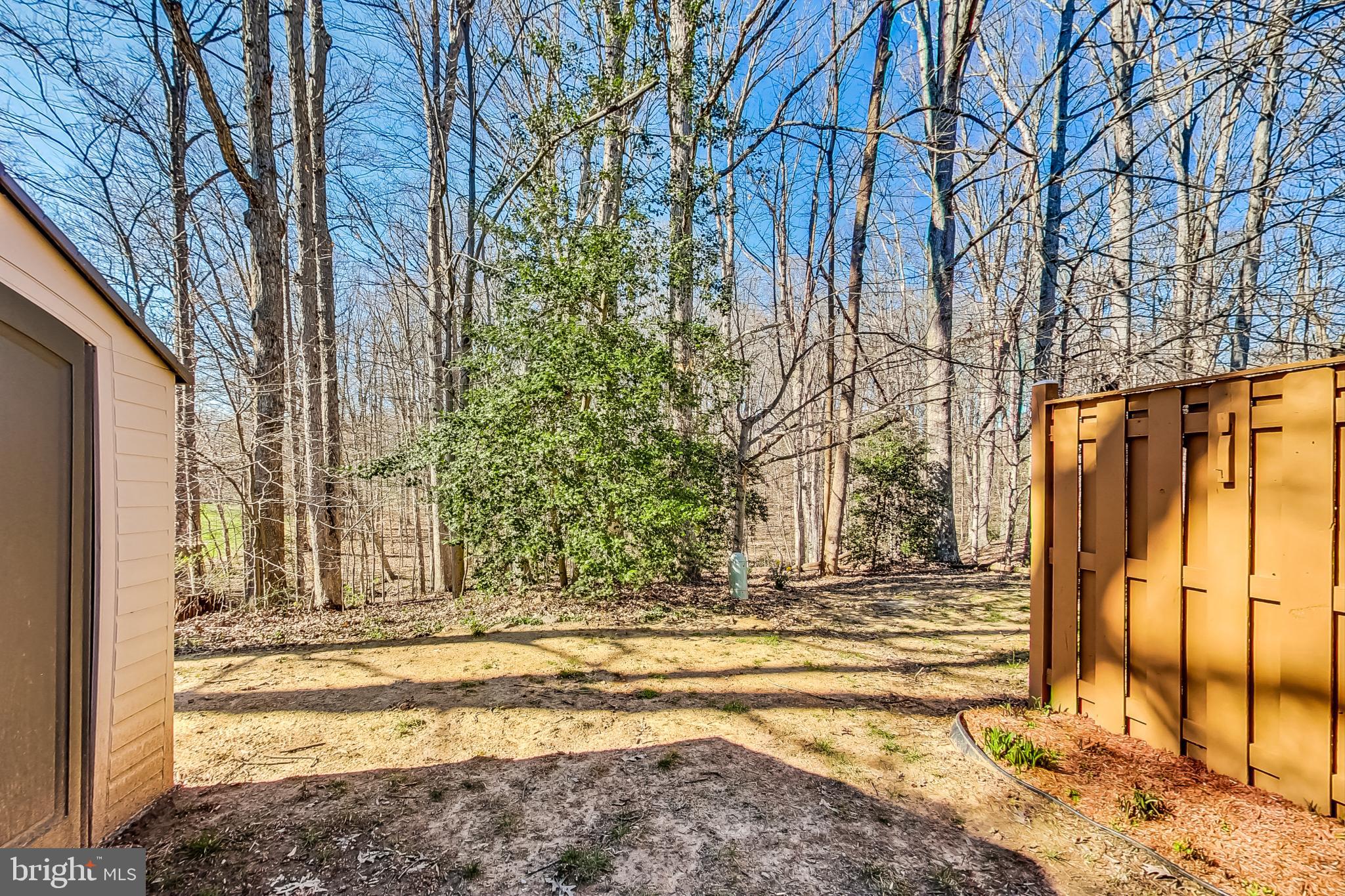 6415 Old Scotts Court Springfield, VA 22152 - Photo 37 of 44 Rear Yard backs to woods