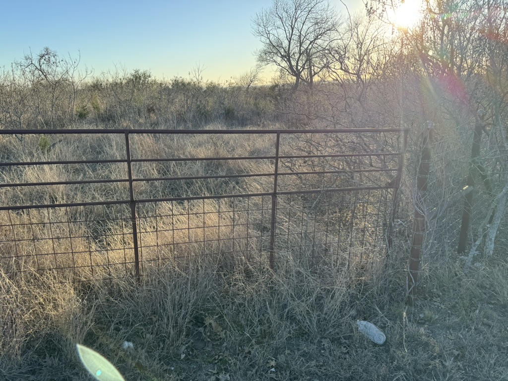 View of gate at dusk