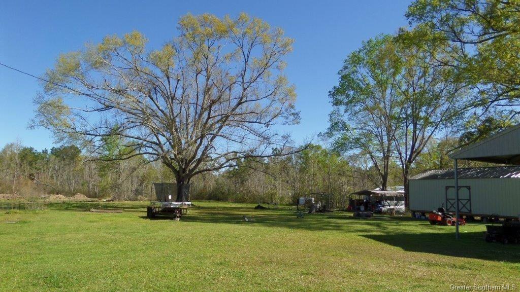 238 John King Road Ragley, LA 70657 - Photo 5 of 5