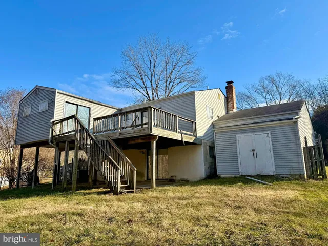 a view of large trees with large trees