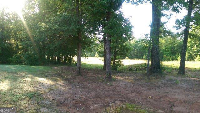 208 Autumn Trail Way Waverly Hall, GA 31831 - Photo 4 of 17