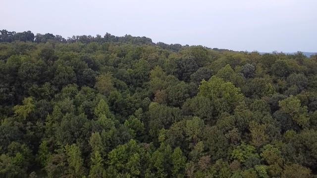 0 Walton Road Clairton, PA 15025 - Photo 20 of 22 Gallery Image 20