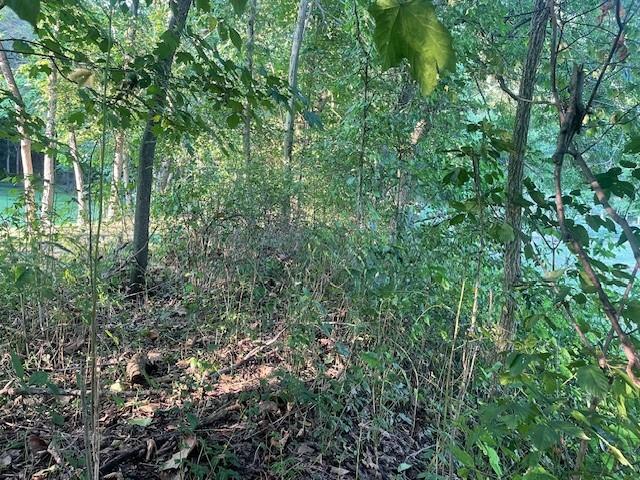 0 Walton Road Clairton, PA 15025 - Photo 2 of 22 Gallery Image 2