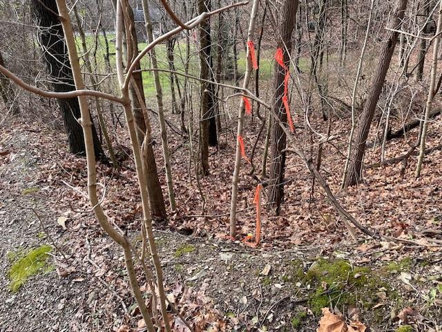 0 Walton Road Clairton, PA 15025 - Photo 8 of 22 Gallery Image 8