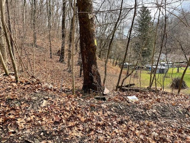 0 Walton Road Clairton, PA 15025 - Photo 9 of 22 Gallery Image 9