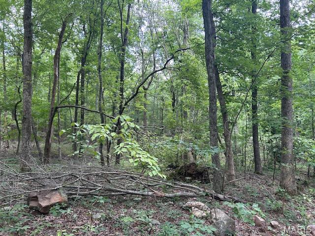 615 Lori Lane Ironton, MO 63650 - Photo 12 of 38