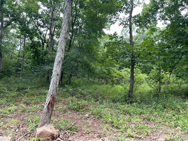 615 Lori Lane Ironton, MO 63650 - Photo 17 of 38