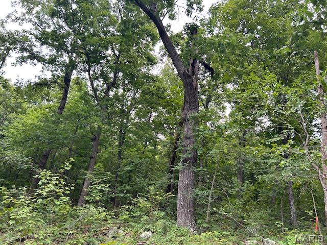 615 Lori Lane Ironton, MO 63650 - Photo 18 of 38